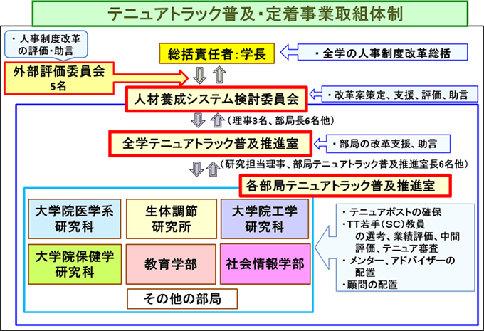 テニュアトラック普及・定着事業取組体制